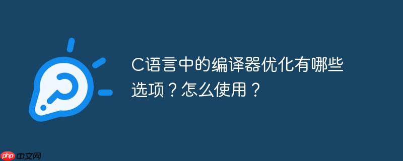c语言中的编译器优化有哪些选项?怎么使用?