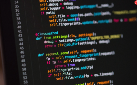 C++野指针问题 产生原因与防范措施