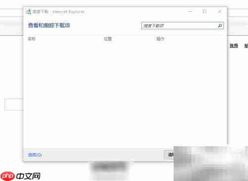 IE浏览器如何查看下载内容