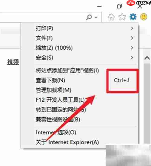 IE浏览器如何查看下载内容
