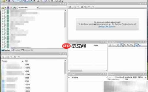 API Monitor使用指南