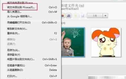 Picasa图片裁剪技巧