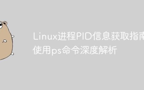 Linux进程PID信息获取指南：使用ps命令深度解析