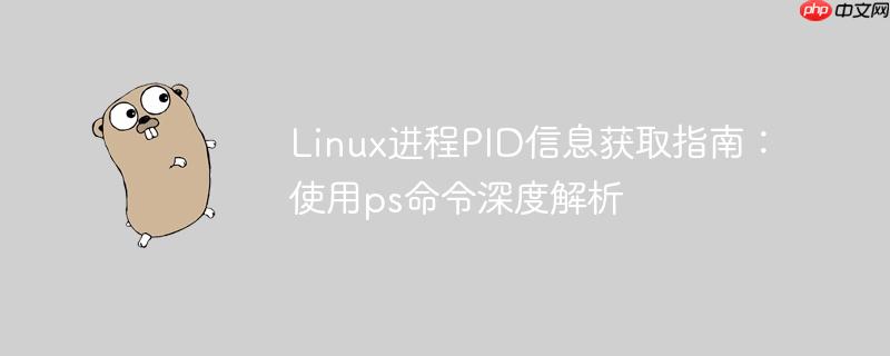 Linux进程PID信息获取指南:使用ps命令深度解析