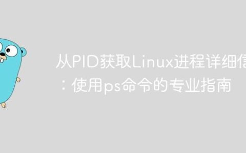 从PID获取Linux进程详细信息：使用ps命令的专业指南