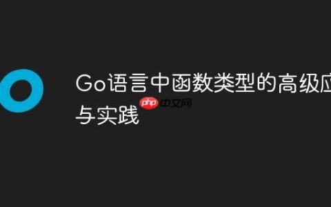 Go语言中函数类型的高级应用与实践