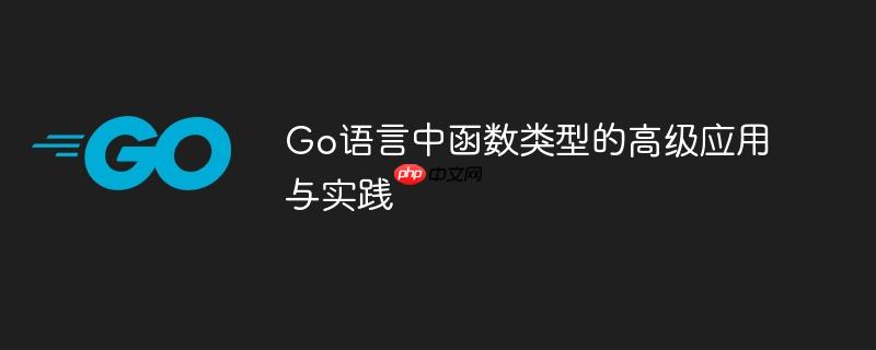 Go语言中函数类型的高级应用与实践