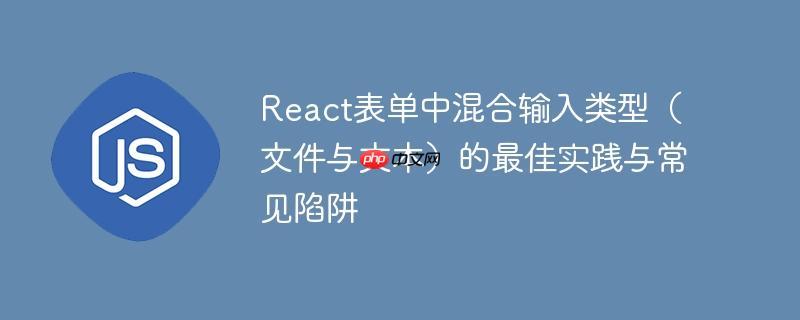 React表单中混合输入类型(文件与文本)的最佳实践与常见陷阱