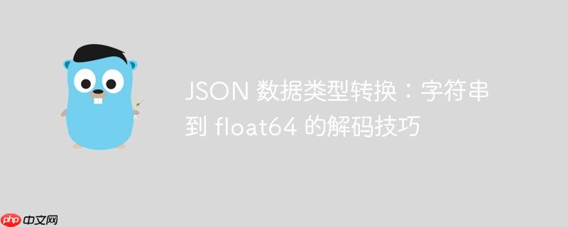JSON 数据类型转换:字符串到 float64 的解码技巧