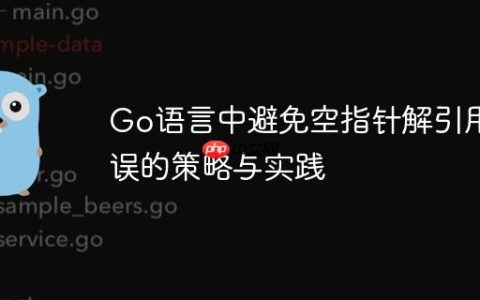 Go语言中避免空指针解引用错误的策略与实践