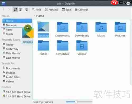 Dolphin文件管理器配置指南