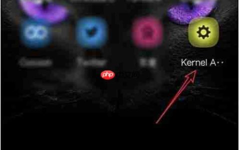 Kernel Adiutor使用指南