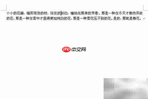 Word 2007快捷键大全