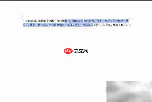 Word 2007快捷键大全