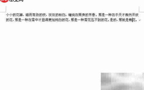 Word 2007快捷键大全