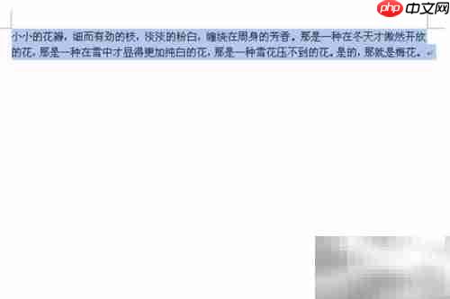 Word 2007快捷键大全