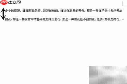 Word 2007快捷键大全