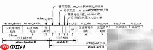 ARP抓包分析精要
