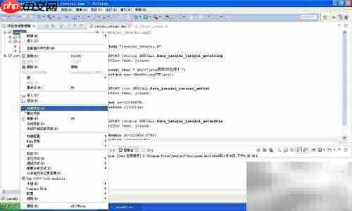 Java调用DLL动态库详解