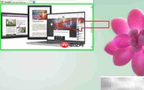 IE浏览器图片下载方法