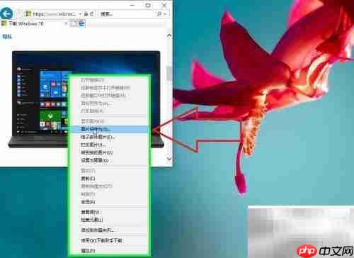 IE浏览器图片下载方法