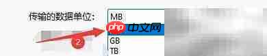 Hard Disk Sentinel单位设置技巧