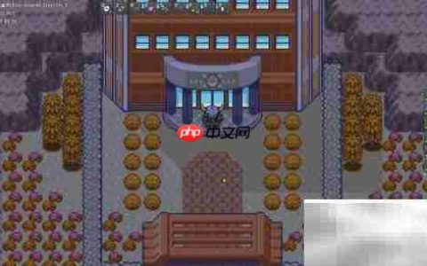 如何查看Pokemmo天王队伍