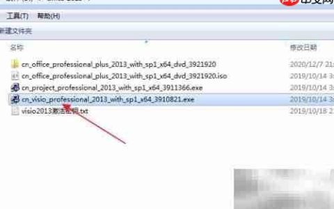 Visio 2013专业版安装指南