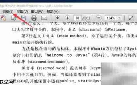 Adobe Reader测量工具使用指南
