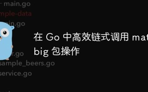 在 Go 中高效链式调用 math/big 包操作