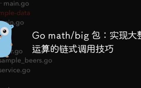 Go math/big 包：实现大整数运算的链式调用技巧