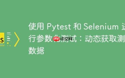 使用 Pytest 和 Selenium 进行参数化测试：动态获取测试数据