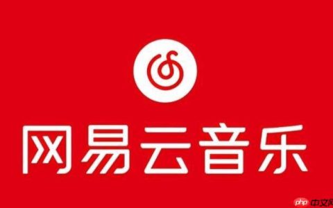 网易云音乐播放时歌词不显示的解决及设置方法