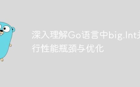 深入理解Go语言中big.Int并行性能瓶颈与优化