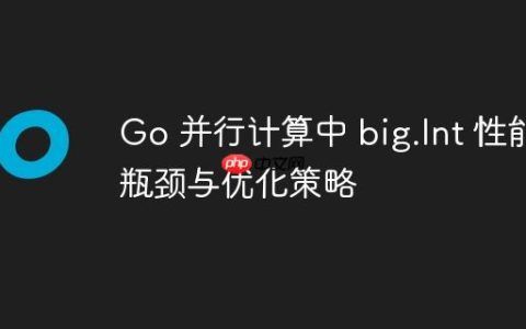 Go 并行计算中 big.Int 性能瓶颈与优化策略