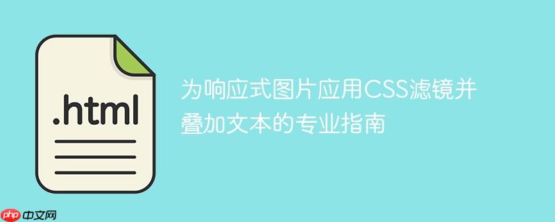 为响应式图片应用CSS滤镜并叠加文本的专业指南