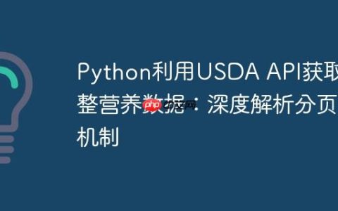 Python利用USDA API获取完整营养数据：深度解析分页机制