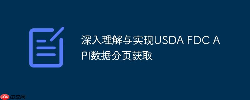深入理解与实现usda fdc api数据分页获取