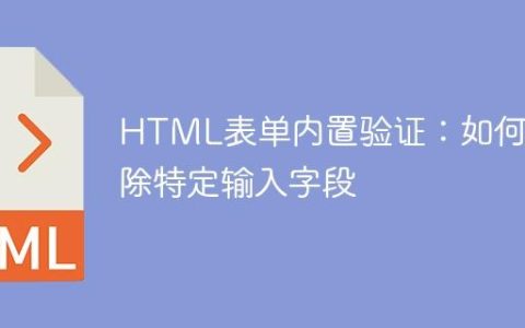 HTML表单内置验证：如何排除特定输入字段