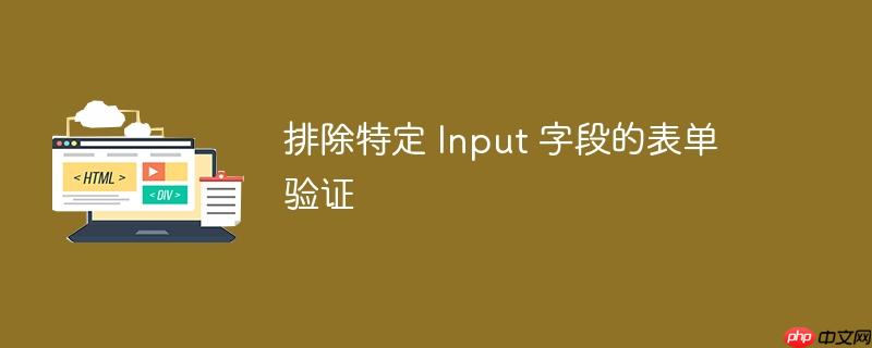 排除特定 input 字段的表单验证
