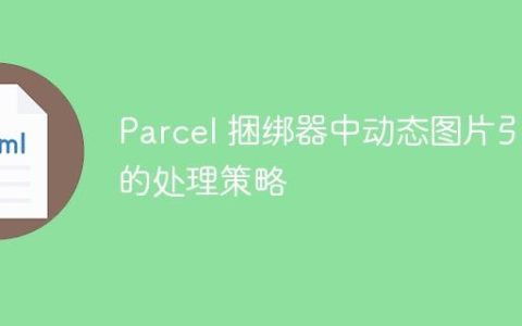 Parcel 捆绑器中动态图片引用的处理策略