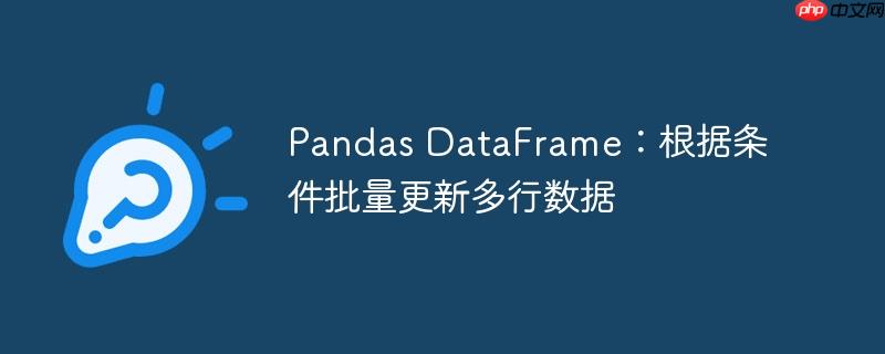 pandas dataframe：根据条件批量更新多行数据