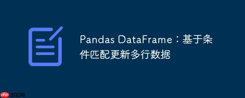 pandas dataframe:基于条件匹配更新多行数据