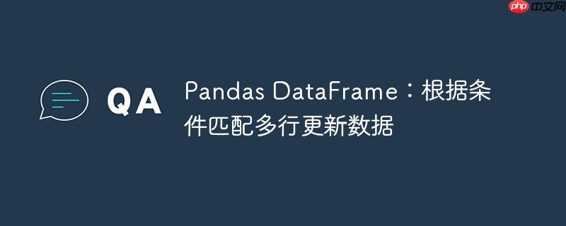 pandas dataframe:根据条件匹配多行更新数据