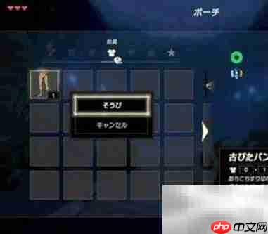 塞尔达DLC使用方法