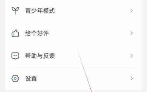PP视频VIP权益查看指南