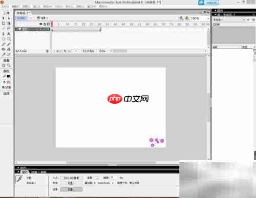 Flash使用入门指南
