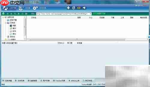 脱兔软件查看本机网卡信息