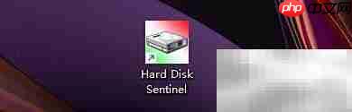 Hard Disk Sentinel单位设置指南