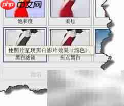 Picasa黑白照片转换技巧